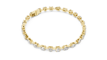 Load image into Gallery viewer, The Fancy - No. 003