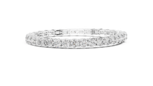 Load image into Gallery viewer, The Fancy - No. 005