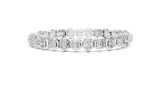 The Fancy - No. 009