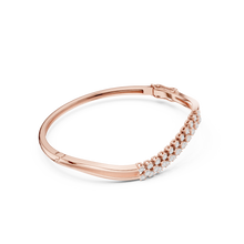 Load image into Gallery viewer, The Fancy - No. 020