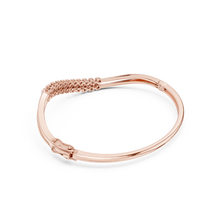 Load image into Gallery viewer, The Fancy - No. 020