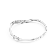 Load image into Gallery viewer, The Fancy - No. 020