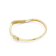 Load image into Gallery viewer, The Fancy - No. 020