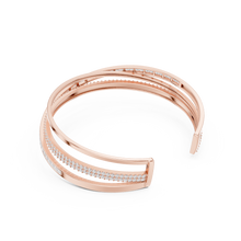 Load image into Gallery viewer, The Fancy - No. 021
