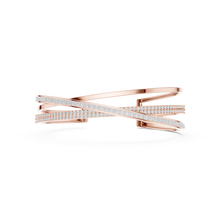 Load image into Gallery viewer, The Fancy - No. 021