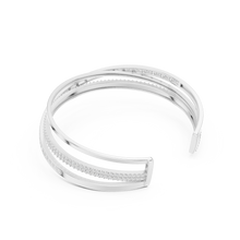 Load image into Gallery viewer, The Fancy - No. 021