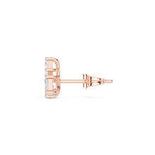 Load image into Gallery viewer, The Signature - No. 017