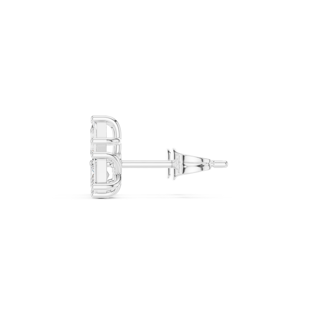 The Signature - No. 017