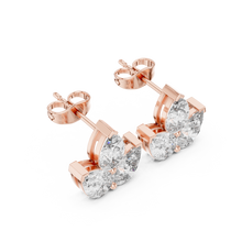 Load image into Gallery viewer, The Signature - No. 019