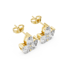 Load image into Gallery viewer, The Signature - No. 019