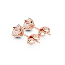 Load image into Gallery viewer, The Essential - No. 017