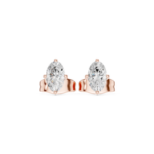 Load image into Gallery viewer, The Signature - No. 050