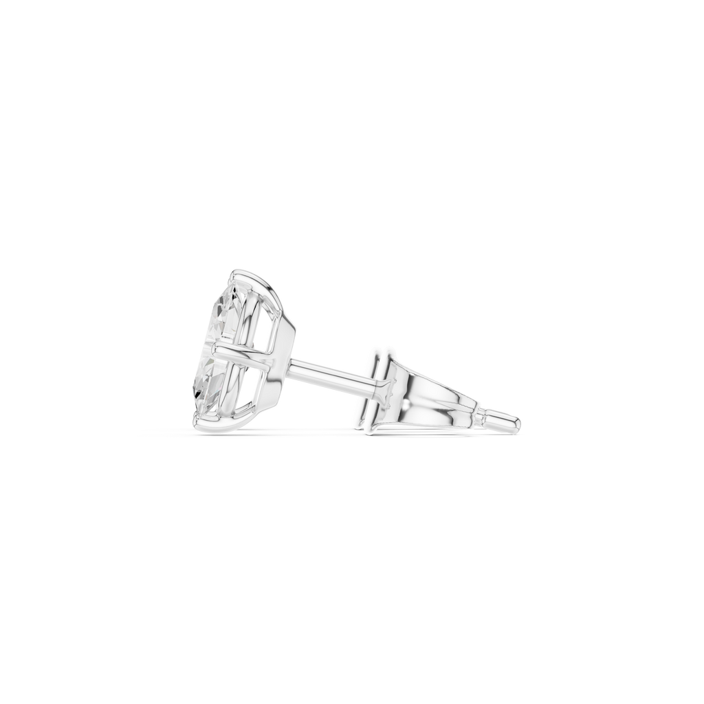 The Signature - No. 050