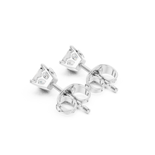 Load image into Gallery viewer, The Essential - No. 023
