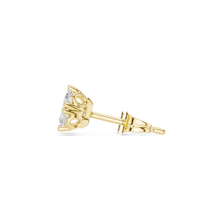 Load image into Gallery viewer, The Essential - No. 025