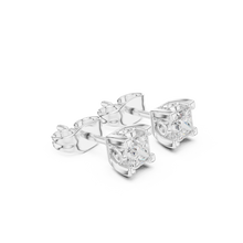 Load image into Gallery viewer, The Iconic - No. 038