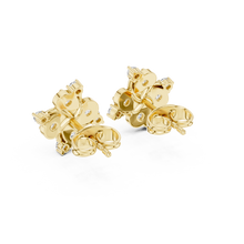 Load image into Gallery viewer, The Essential - No. 070