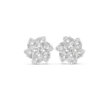 Load image into Gallery viewer, The Essential - No. 165