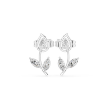 Load image into Gallery viewer, The Essential - No. 178