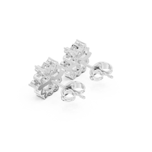 Load image into Gallery viewer, The Iconic - No. 070