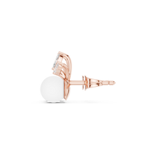 Load image into Gallery viewer, The Essential - No. 211