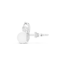 Load image into Gallery viewer, The Essential - No. 211