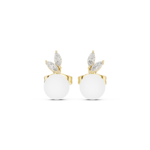 Load image into Gallery viewer, The Essential - No. 211