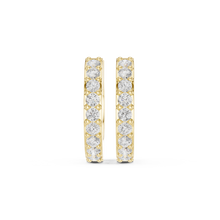 Load image into Gallery viewer, The Essential - No. 247