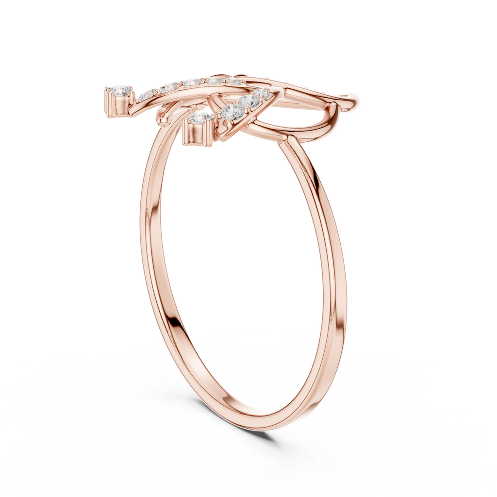The Fancy Ring