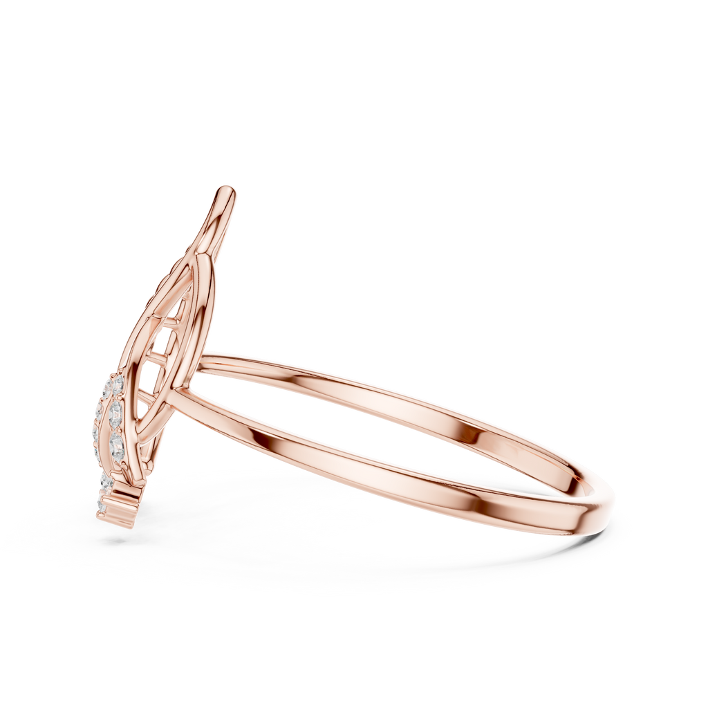The Fancy Ring