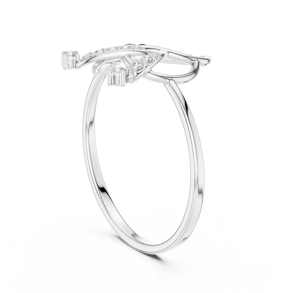 The Fancy Ring