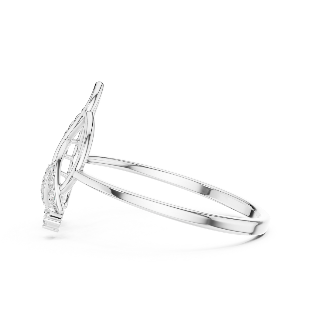 The Fancy Ring