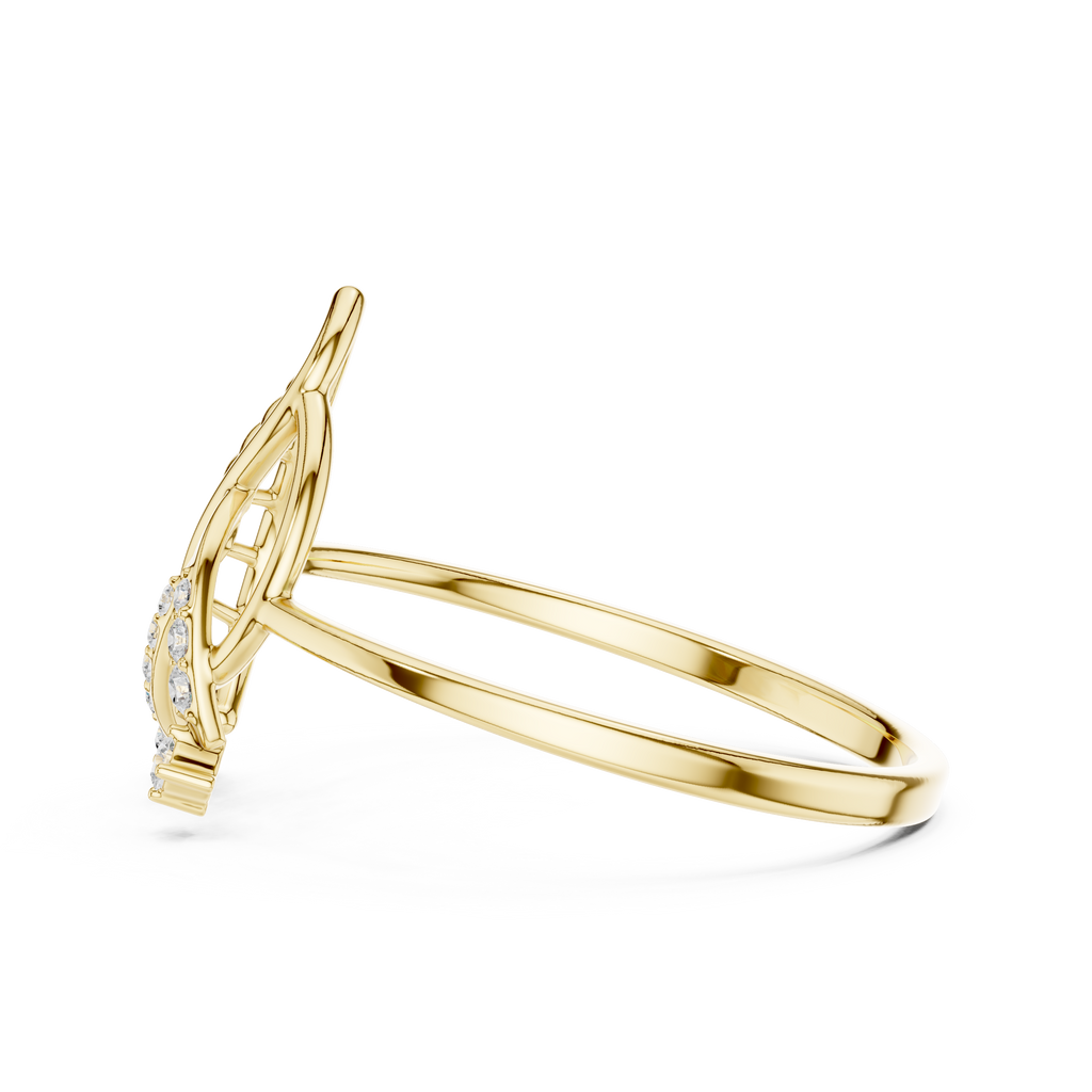 The Fancy Ring