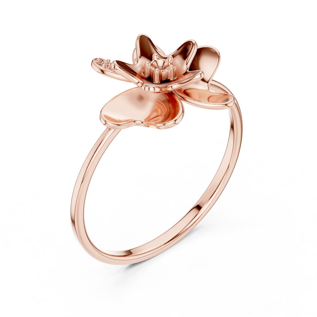 The Essential Ring