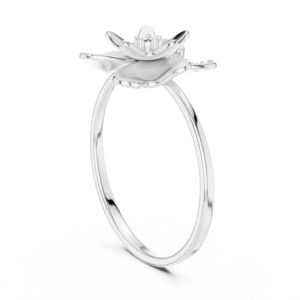 The Essential Ring