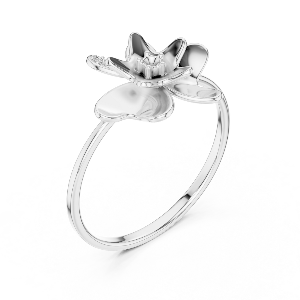 The Essential Ring