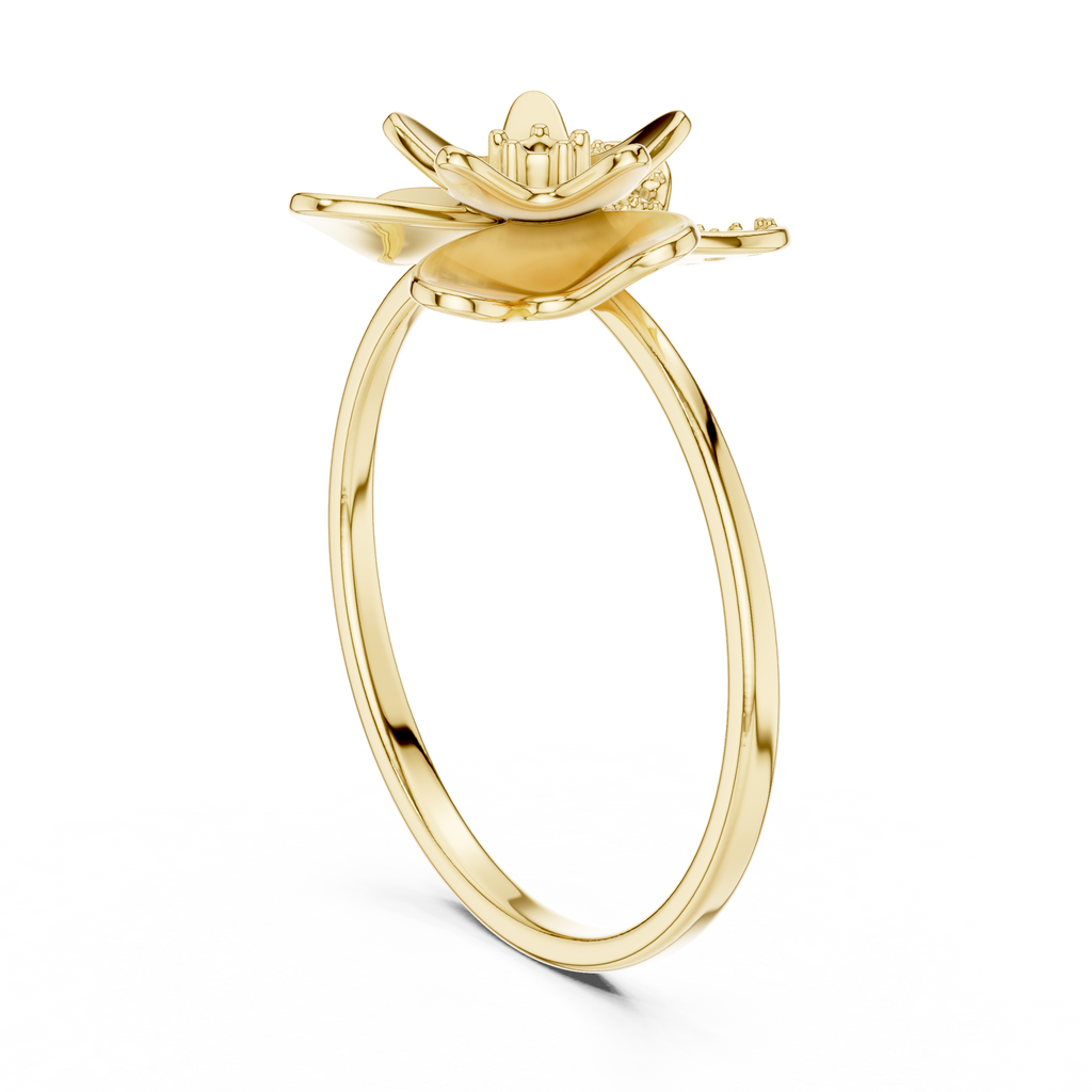The Essential Ring
