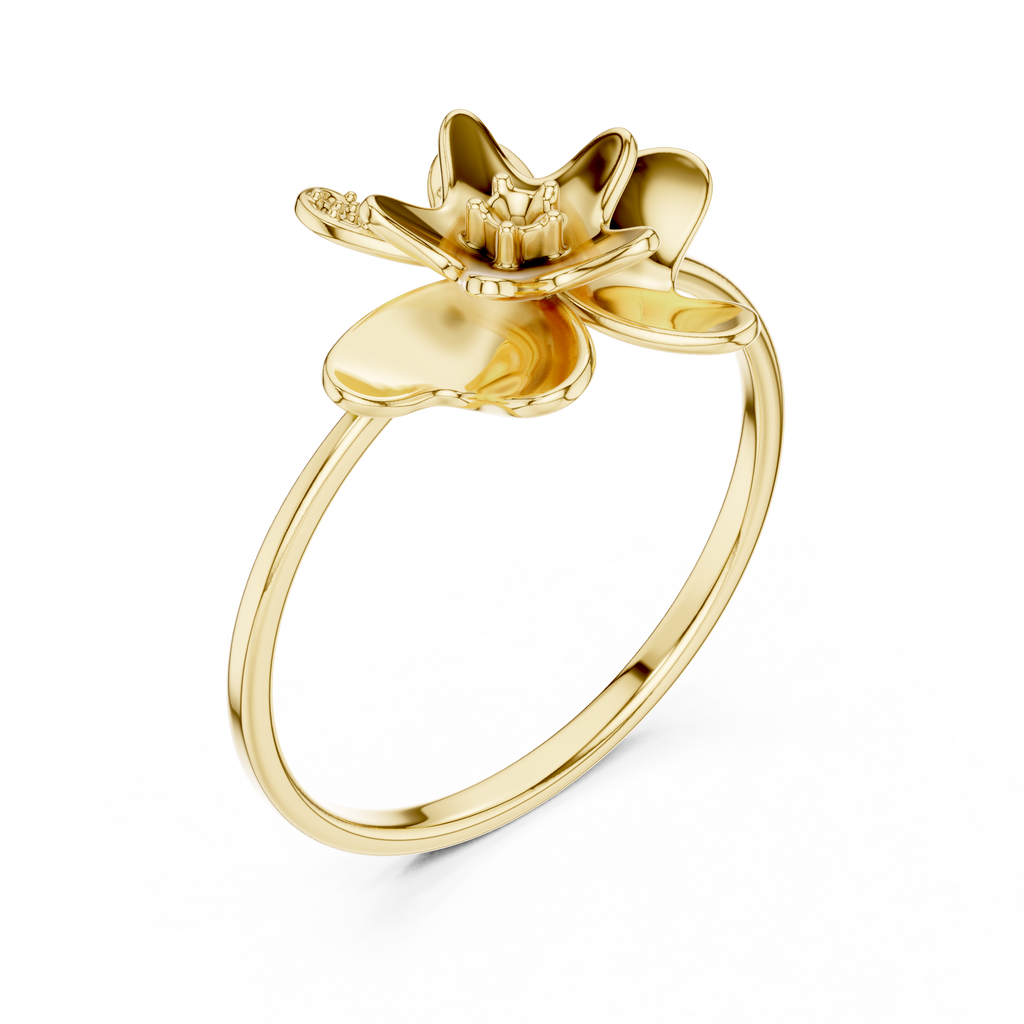 The Essential Ring