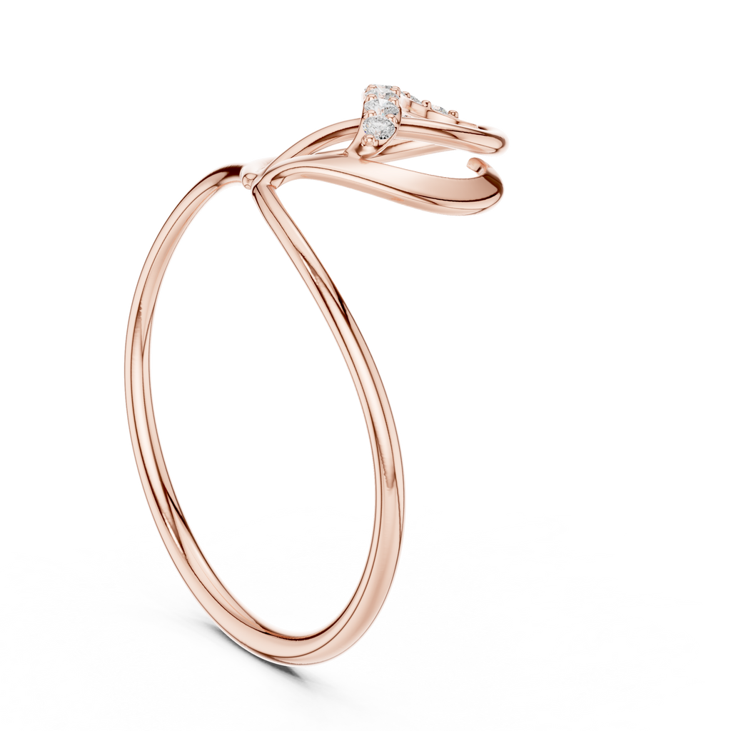 The Essential Ring