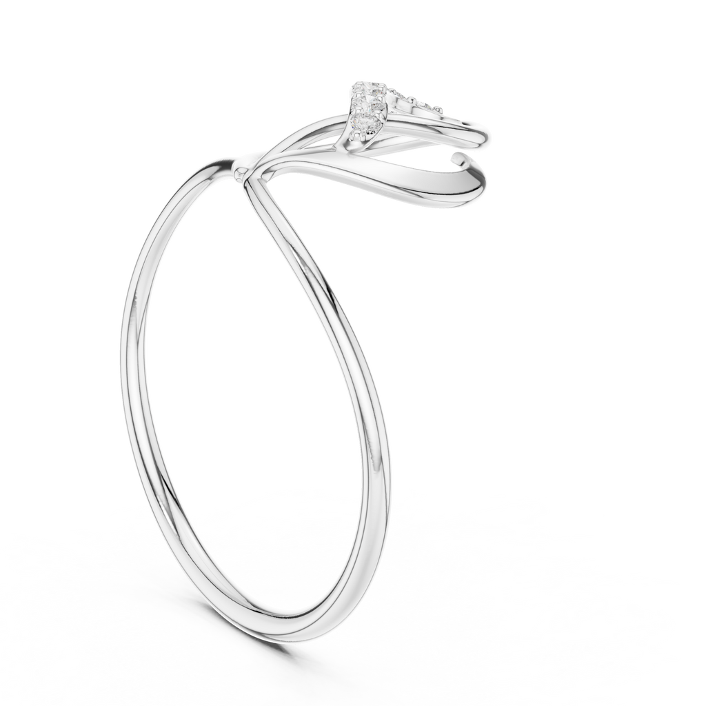 The Essential Ring