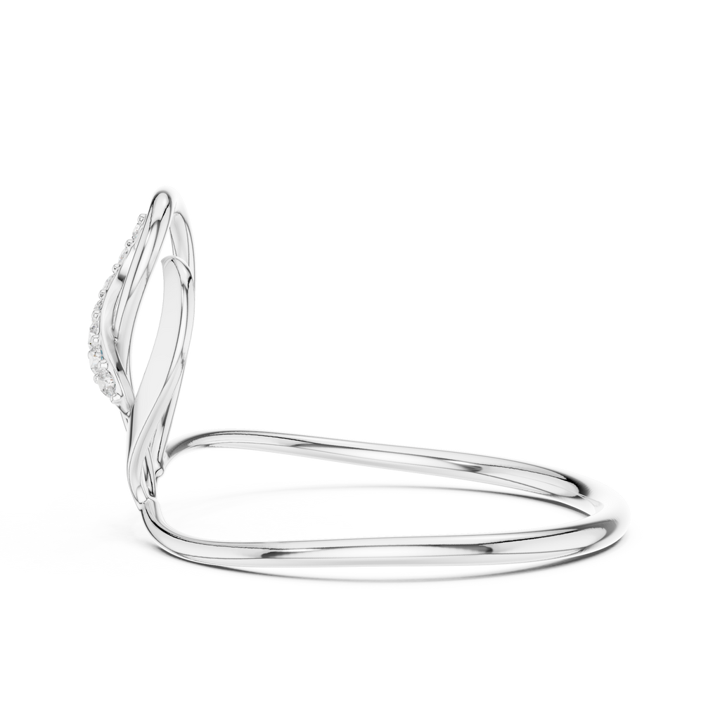 The Essential Ring