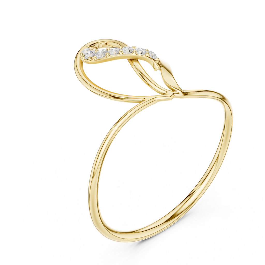 The Essential Ring