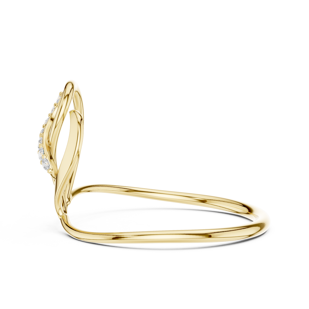 The Essential Ring