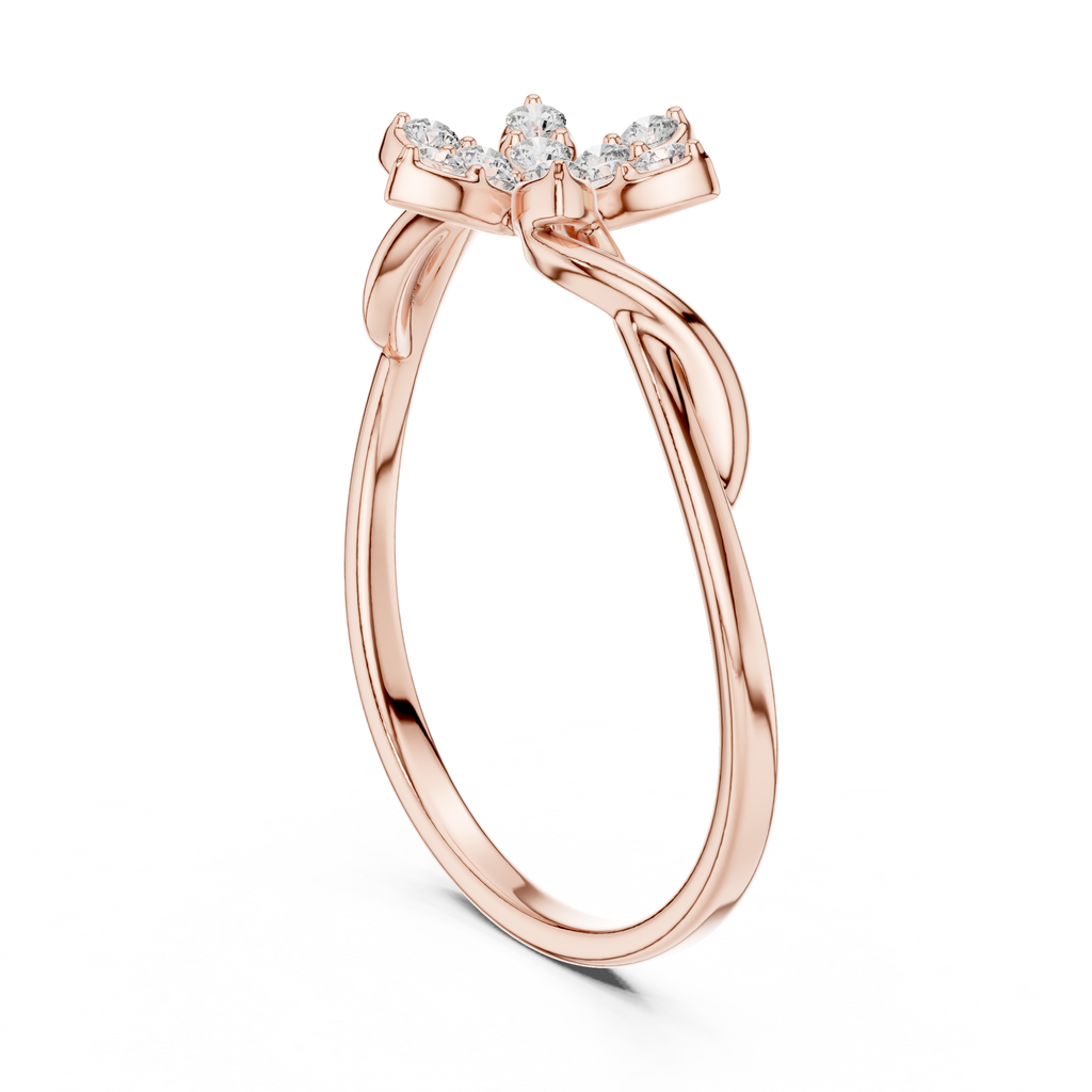 The Essential Ring