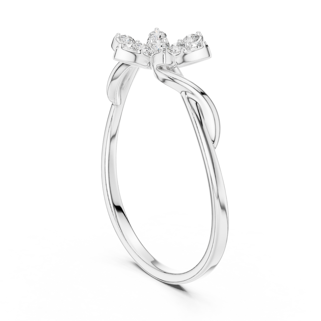 The Essential Ring