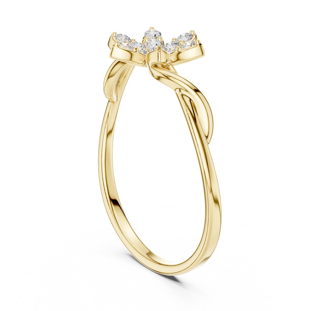 The Essential Ring