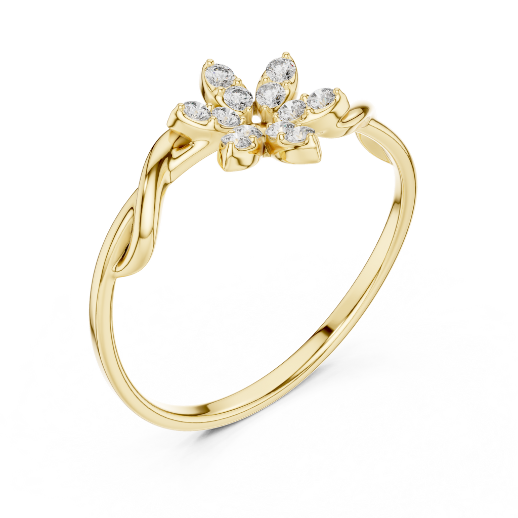The Essential Ring