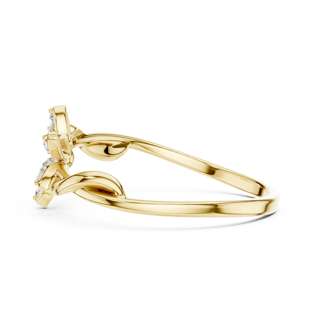 The Essential Ring