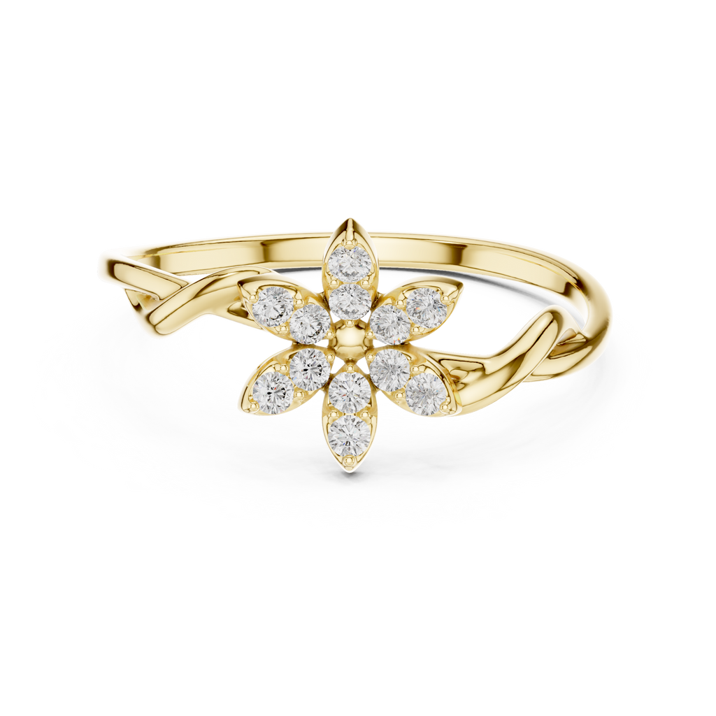 The Essential Ring