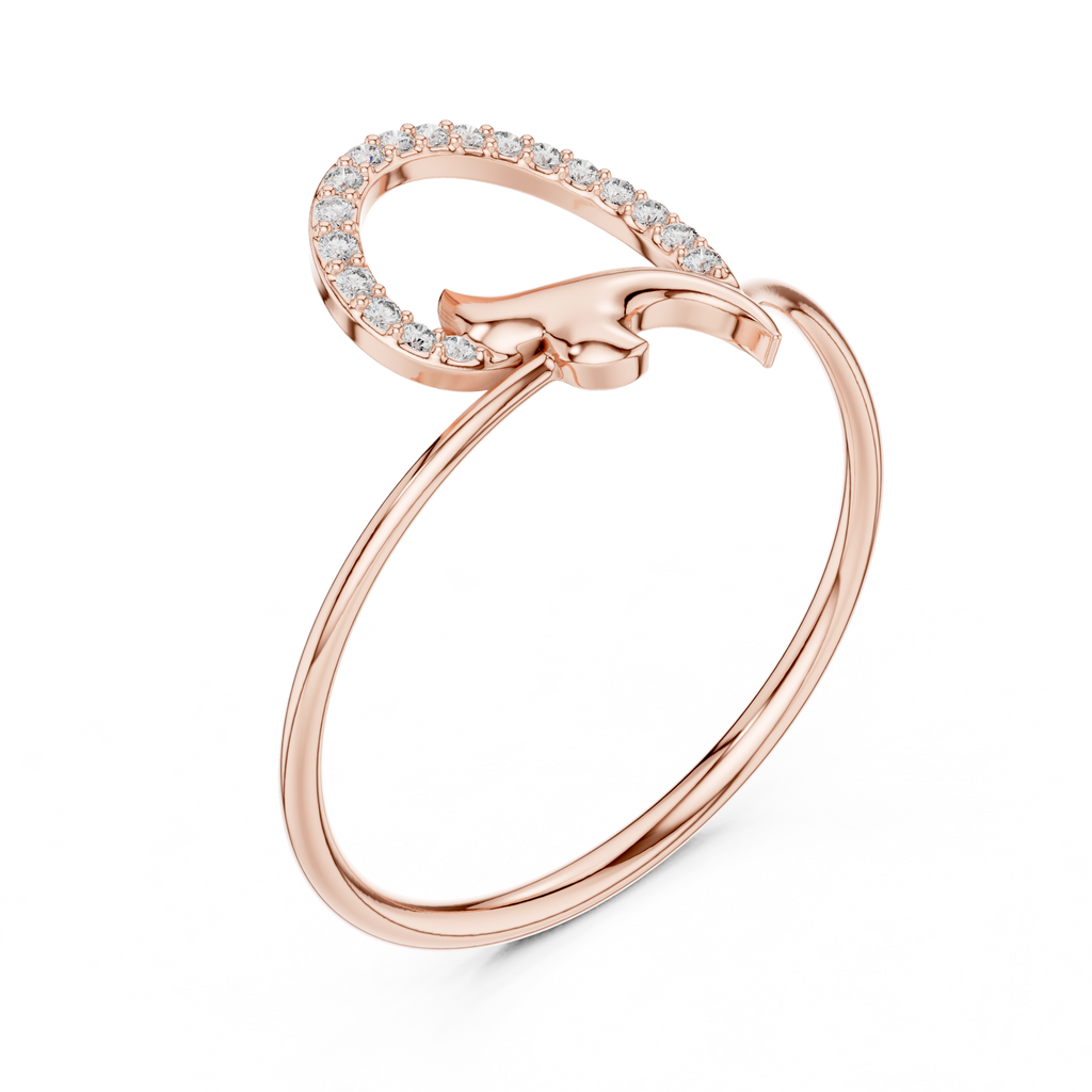 The Fancy Ring